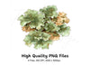 Lichen Clipart Bundle