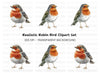 Realistic Robin Bird Clipart Bundle