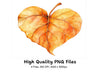 Autumn Heart Leaves Clipart Bundle