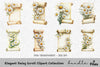 Elegant Daisy Scroll Clipart Bundle