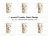 Seashells Tumbler Clipart Bundle