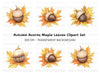 Autumn Acorns and Maple Leaves Clipart Bundle