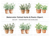 Potted Herbs Clipart Bundle
