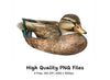 Realistic Mallard Duck Clipart Bundle