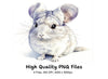 Cute Chinchilla Clipart Bundle