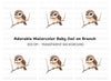 Cute Owl on Branch Clipart Bundle