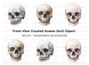 Skull Clipart Bundle