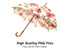 Floral Umbrellas Clipart Bundle