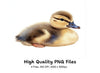 Adorable Duckling Clipart Bundle
