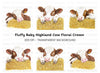Sleeping Calves on Hay Bales Clipart Bundle