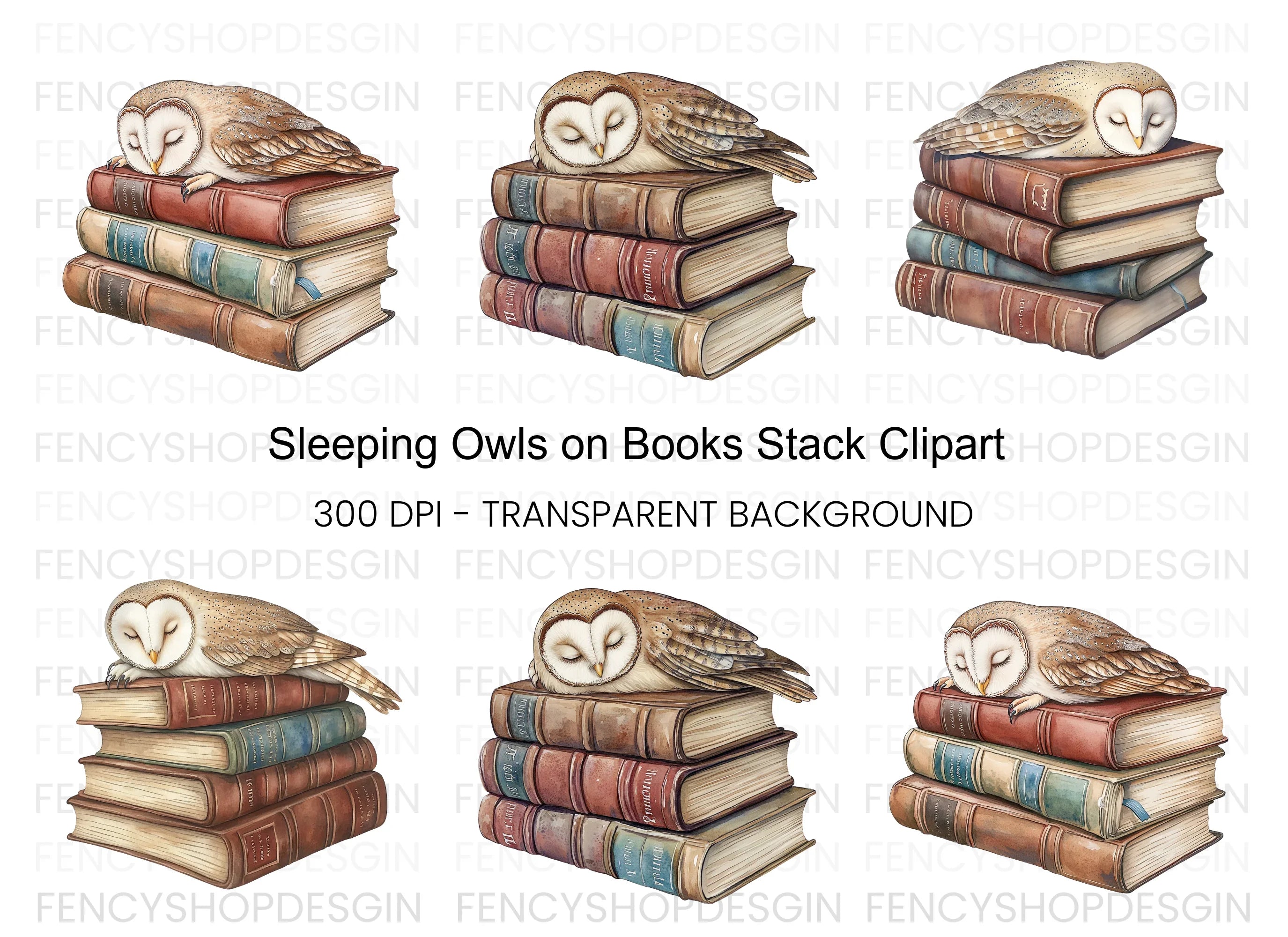 Sleeping Owls on Vintage Books Clipart Bundle