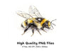Bumble Bee Clipart Bundle