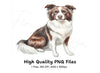 Border Collie Dog Illustration Clipart Bundle
