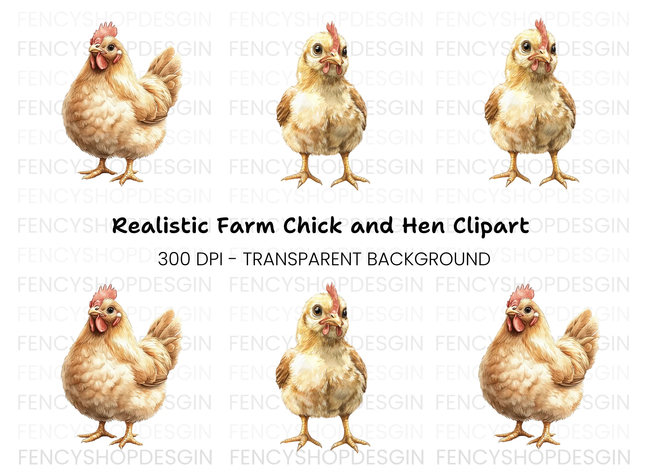 Cute Hen and Chick Clipart Bundle