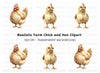 Cute Hen and Chick Clipart Bundle