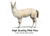 Body Llama Clipart Bundle
