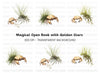 Crabs and Seaweed Clipart Bundle