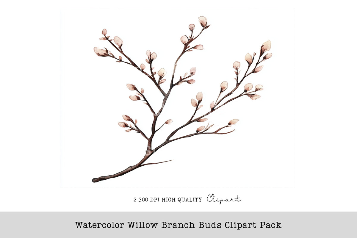 Willow Branch Buds Clipart Bundle