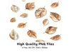 Autumn Leaves Clipart Bundle