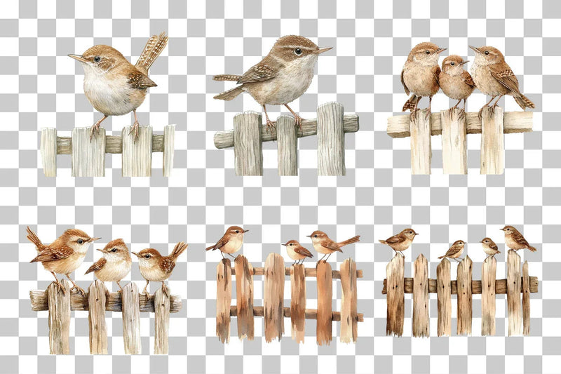 Wren Birds on Fence Clipart Bundle - CraftNest - Digital Crafting and Art