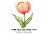 Tulip Clipart Bundle
