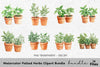 Potted Herbs Clipart Bundle