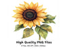 Bright Sunflower Clipart Bundle