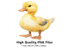 Cute Yellow Duckling Clipart Bundle