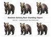 Standing Grizzly Bear Duo Clipart Bundle
