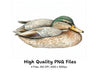 Mallard Duck Clipart Bundle