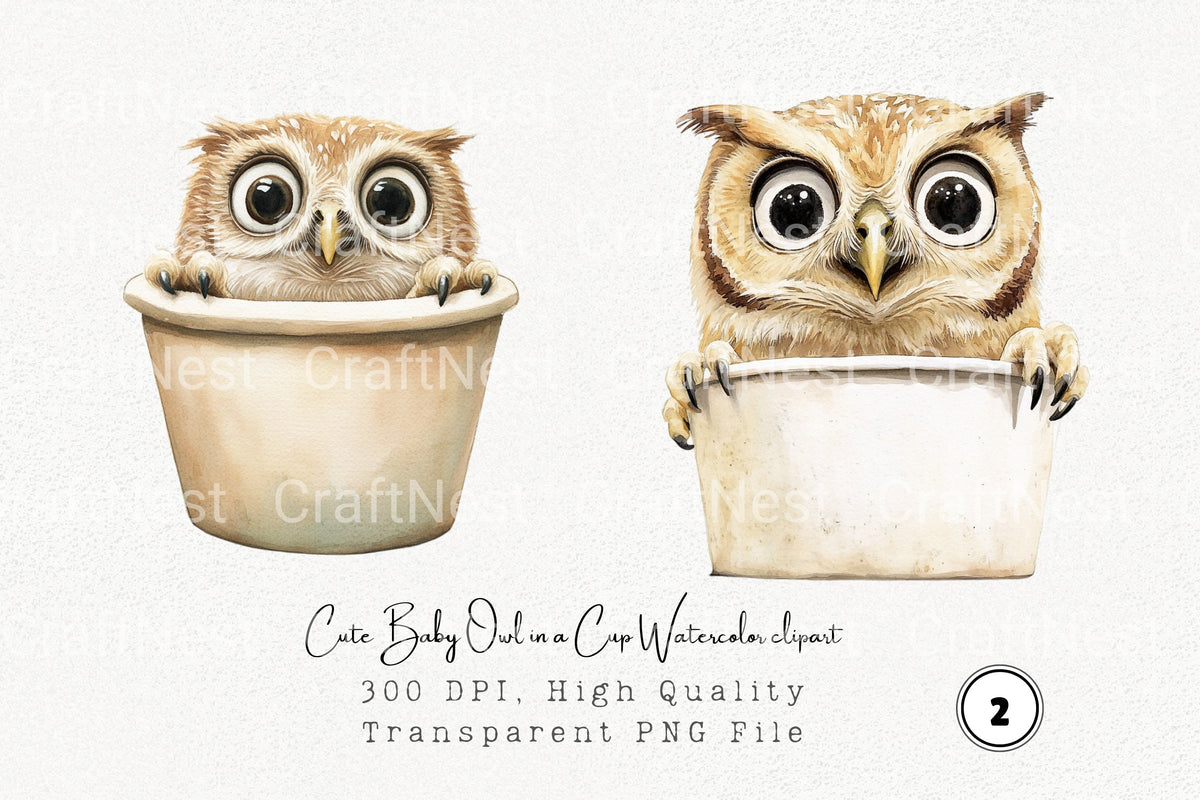 Cute Baby Owl In Cup Clipart Bundle