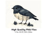 Forest Bird Clipart Bundle