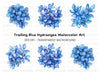 Blue Succulent and Leaf Clipart Bundle