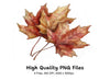 Autumn Maple Leaves Clipart Bundle