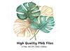 Monstera Leaves Clipart Bundle