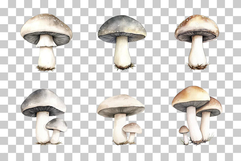 Mushroom Line Art Illustration Clipart Bundle - CraftNest - Digital Crafting and Art