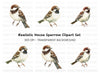 Charming House Sparrow Clipart Bundle