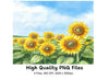 Sunflower Field Clipart Bundle