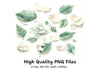 Assorted Leaves and Petals Clipart Bundle