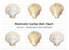 Scallop Shells Clipart Bundle