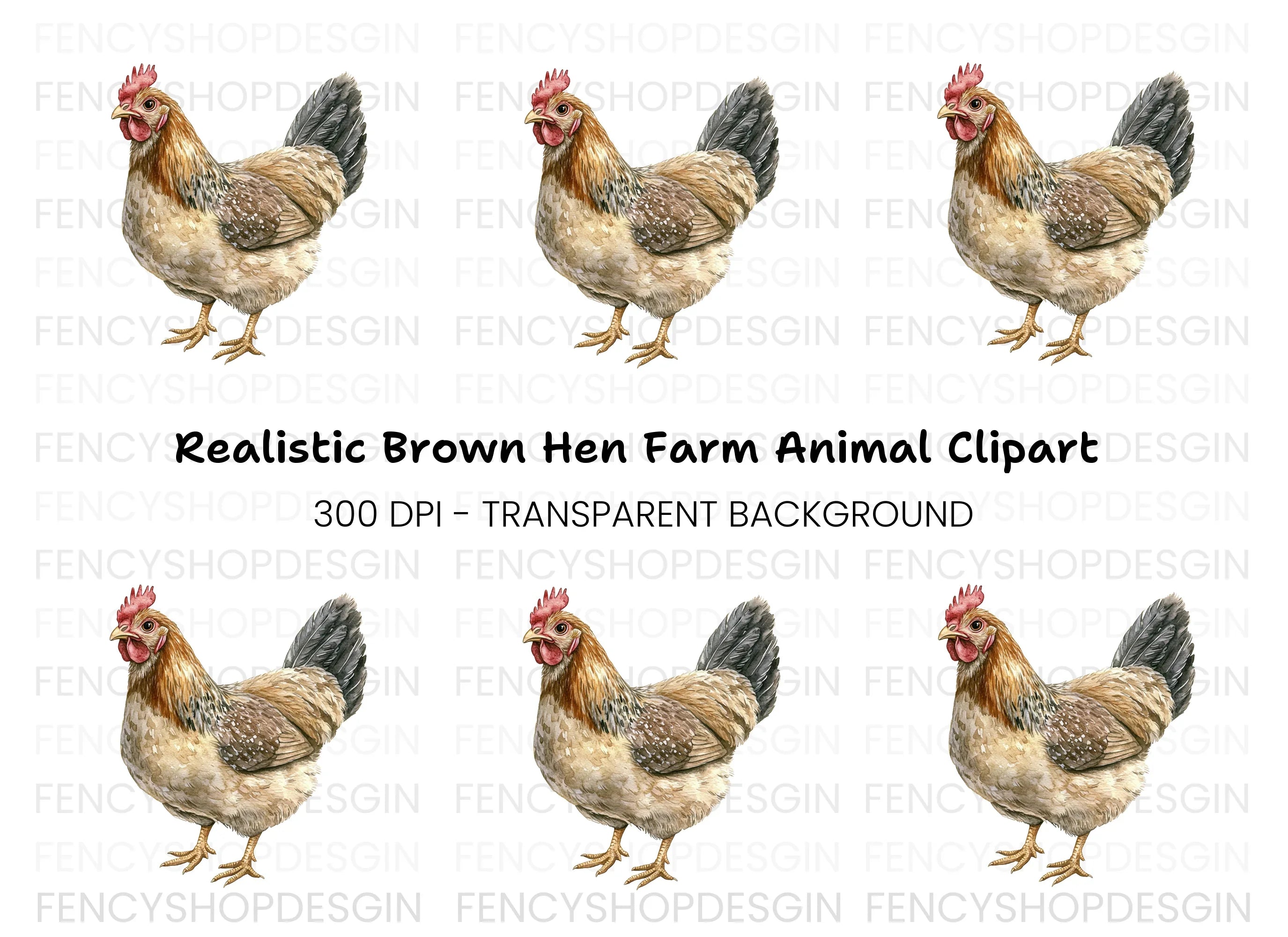 Chicken Illustration Clipart Bundle
