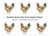 Chicken Illustration Clipart Bundle