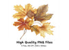 Autumn Leaves Clipart Bundle