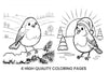 Cute Winter Birds Coloring Books