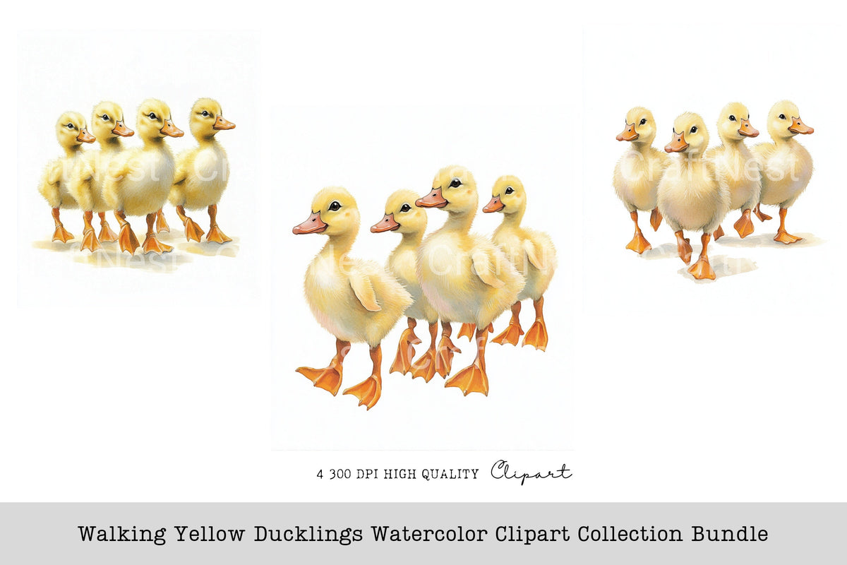 Walking Yellow Ducklings Clipart Bundle
