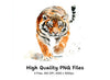 Tiger Clipart Bundle