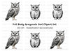 Wise Owl Clipart Bundle