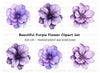 Vibrant Purple Geranium Clipart Bundle