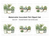 Succulent Clipart Bundle