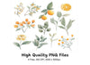 Citrus Greenery Clipart Bundle